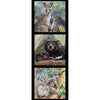 DV3705 - Kangaroo, Tasmanian Devil, Koala  with their Joey's in colour of grey, green, brown, orange, brown, black, pink, blue Indigenous Native Australian Animals Whispers of the Valley Fabrics