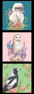 Three square bird panels featuring a white kookaburra with teal background and bottlebrush, a cream barn owl on a soft pink background with lavender and daisies, and a black-and-white magpie framed by peach flowers on a green background – Carlie Edwards artwork – DV6456