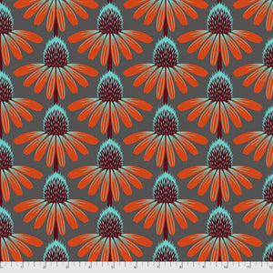 Blooming echinacea dark orange light blue petals black light blue bud on dark grey background Anna Maria Horner PWAH075-Berry XLN