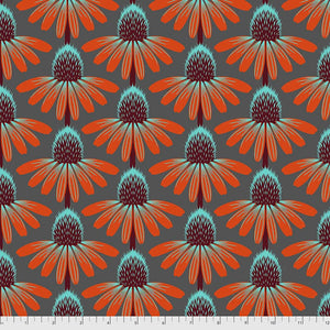 Blooming echinacea dark orange light blue petals black light blue bud on dark grey background Anna Maria Horner PWAH075-Berry XLN