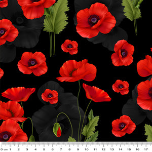  ANZAC red poppies leaves scattered on black background 3095F
