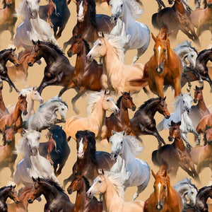 Australian Brumbies Horses running fast, rearing up, horse colours are black, white, cream, brown, grey spot some have a white blaze on their faces on a background cream – 0122E