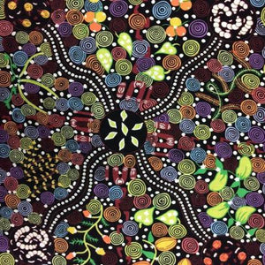 Picture depicts Dreamtime Corroboree from Indigenous Aboriginals Australia with colours of the Rainbow using spirals, dots, leaves, fruits and bug shapes to draw the picture - Whispers of the Valley Fabric