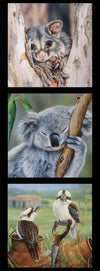 Three window panel realistic lifelike Indigenous  possum in crook of gum tree grey cream pink brown black grey koala sleeping in eucalyptus tree green leaves brown branch two white brown blue kookaburras sitting on rusty cream cans gardening fork handle mountainous background corrugated iron shed black borders DV3175 NATALIE JANE PARKER COLLECTION