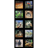 Panel - DV3707 Skink Lorikeet, Budgie, Possum, Wren, Owl, Marsupial, Frog, Magpie, Lizard Indigenous Native Australian Animals Whispers of the Valley Fabrics