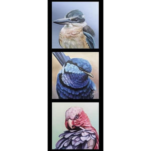 Kingfisher Wren Galah - Australian Indigenous  Birds of a feather in a Trio of blues, pinks, greys black framed in a black border on cotton fabric - DV3913