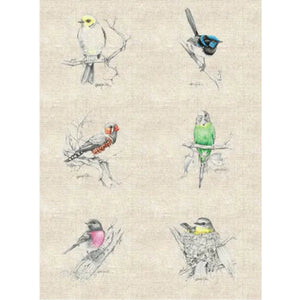 Cream linen blend fabric panel featuring native Australian birds of Wrens Budgie Robin in colours of yellow, blue, rust, green and pink DV5097