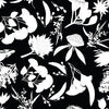 White on Black Australian Native Florals - by Robyn Hammond - DV5207