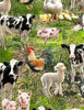 Cow, Calf, Sheep, Duck, Duckling, Rooster, Pigs, piglets, Swine, Sow in a field, paddock of green grass animals are pink, grey spotted TTC8336MULTI
