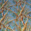 Iconic Australian Gumtree - Blue - by Nutex
