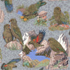 Kea bird in Rocks