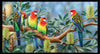 4 four red yellow green blue black Rosella sitting on a Banksia branch of brown bark creamy yellow flowers and grey green leaves with a pale blue sky background DV3701