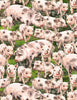 Pigs, piglets, Swine, Sow in a field, paddock of green grass animals are pink, grey spotted TTC8338MULTI