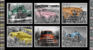 Rustic Relics panel tiles black and white colour pop pictures of abandoned old vehicles weeds growing through green pink burnt orange yellow red sky blue- 0121A