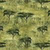 Australian Indigenous  Acacia trees on a landscape of bush grass in tones of khaki, olive green