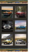 Mustang - Orange Red White Blue Yellow Fastback Model individually framed cars - 1043C